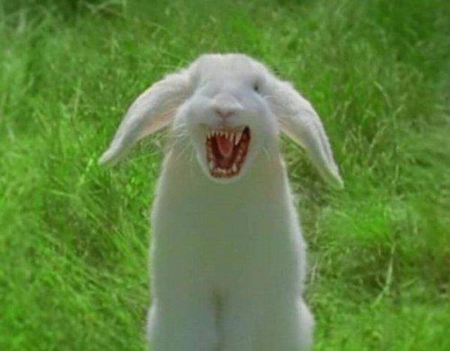 Daily picdump (127 pics)