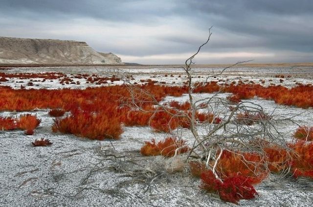 Dying Aral Sea (18 pics)