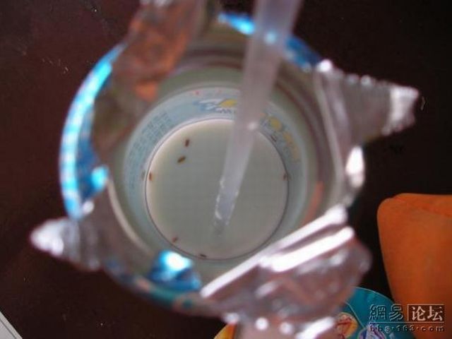 Something in the milk bottle (9 pics)