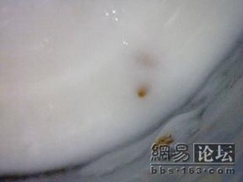 Something in the milk bottle (9 pics)