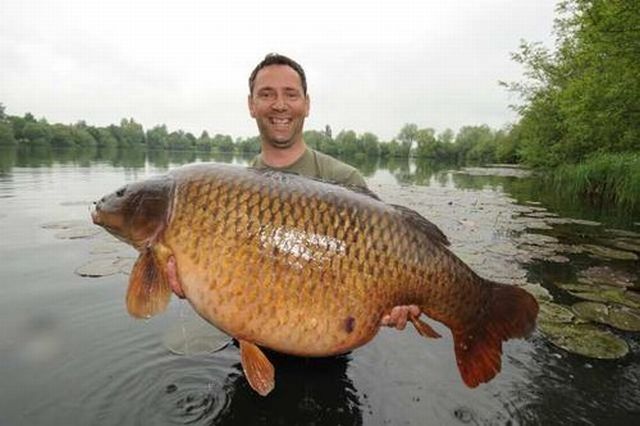 Benson the carp (13 pics)