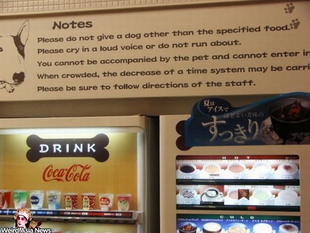 Weird signs. Part 4 (65 pics)