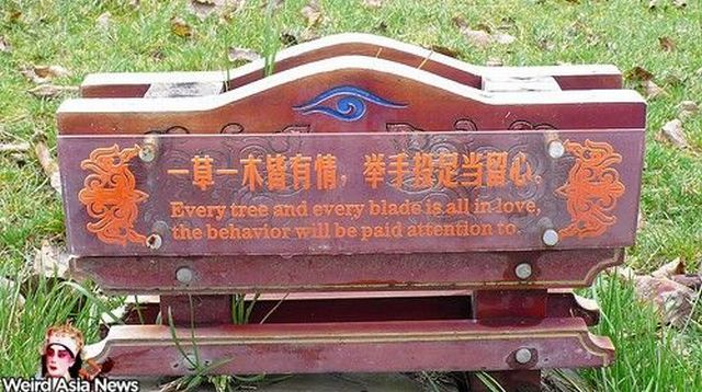 Weird signs. Part 4 (65 pics)