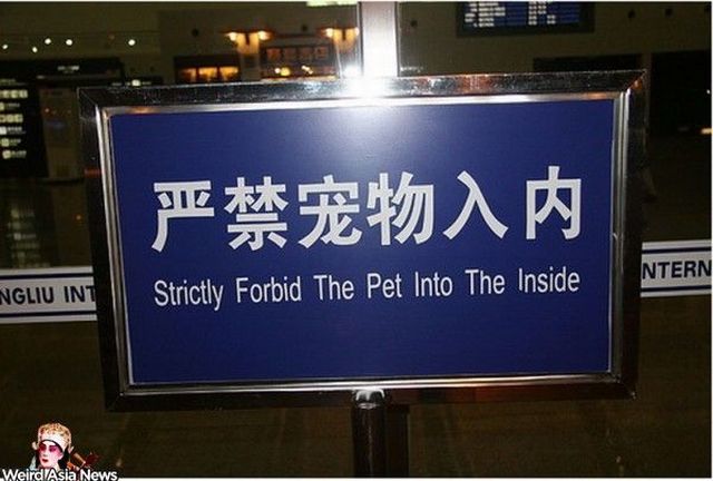 Weird signs. Part 4 (65 pics)