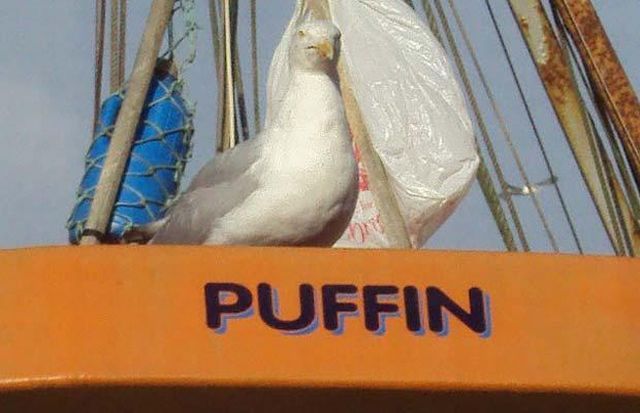 Weird signs. Part 4 (65 pics)