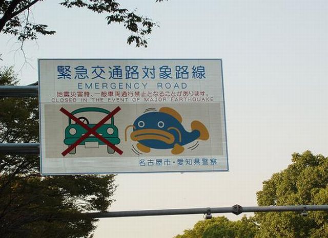 Weird signs. Part 4 (65 pics)