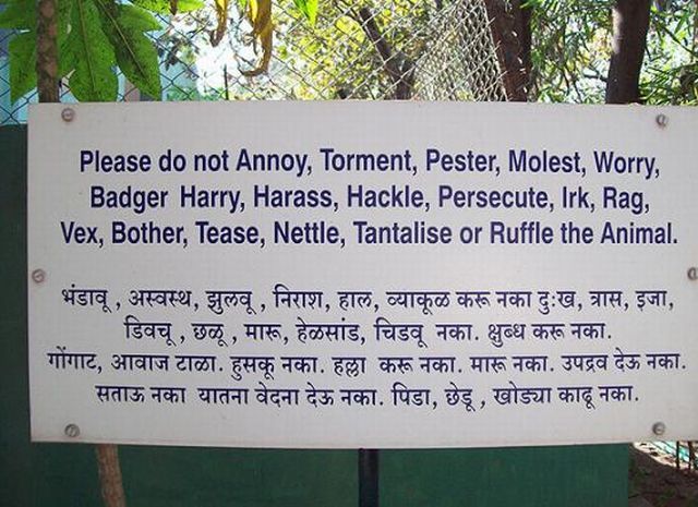 Weird signs. Part 4 (65 pics)