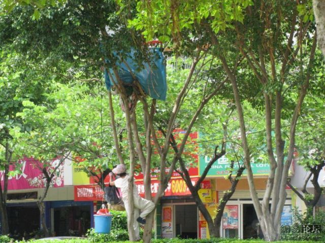 Weird thing (3 pics)