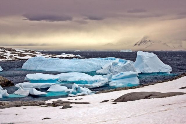 Icebergs (50 pics)