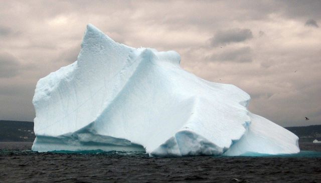 Icebergs (50 pics)