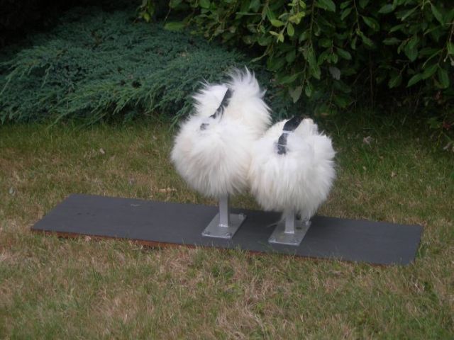 WTF ? (7 pics)
