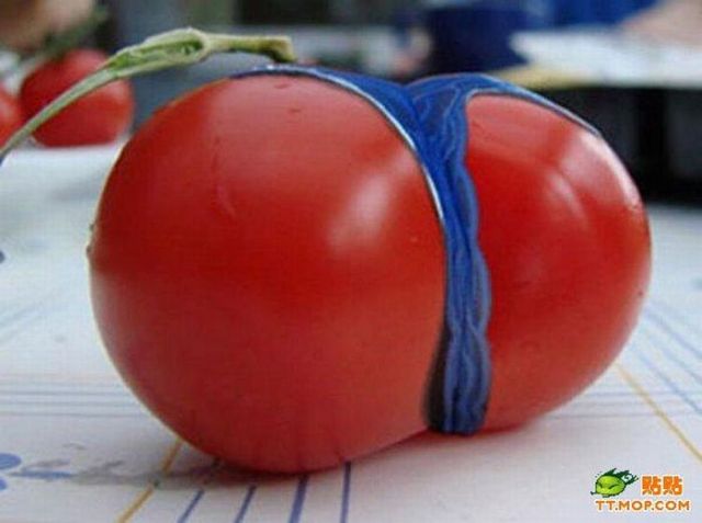 Daily picdump (132 pics)