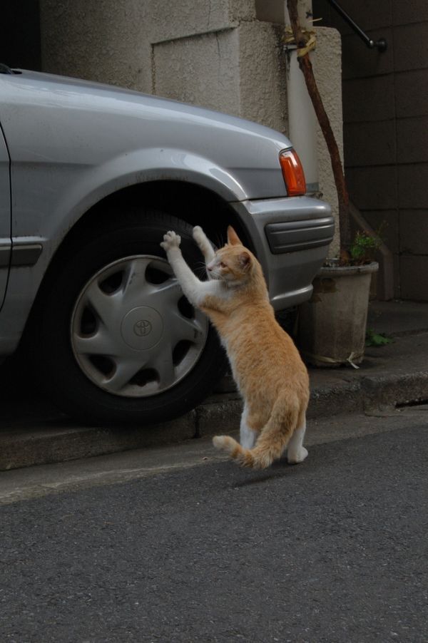 Daily picdump (132 pics)