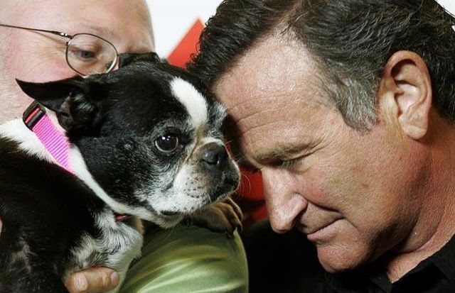 Daily picdump (132 pics)