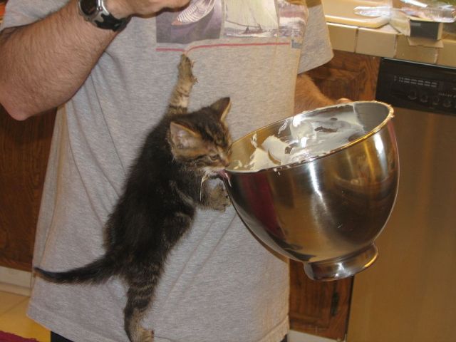Daily picdump (132 pics)