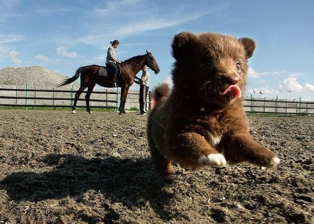 Daily picdump (132 pics)