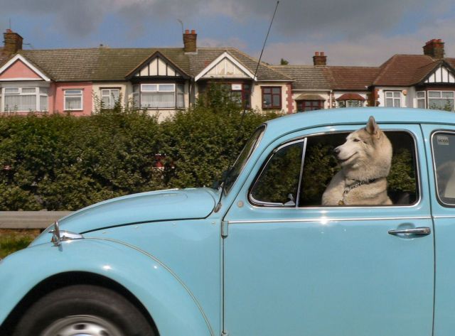 Daily picdump (132 pics)