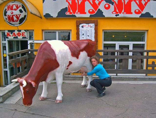 Daily picdump (132 pics)