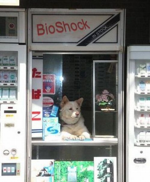 Daily picdump (132 pics)