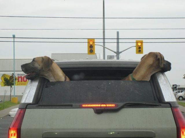 Daily picdump (132 pics)