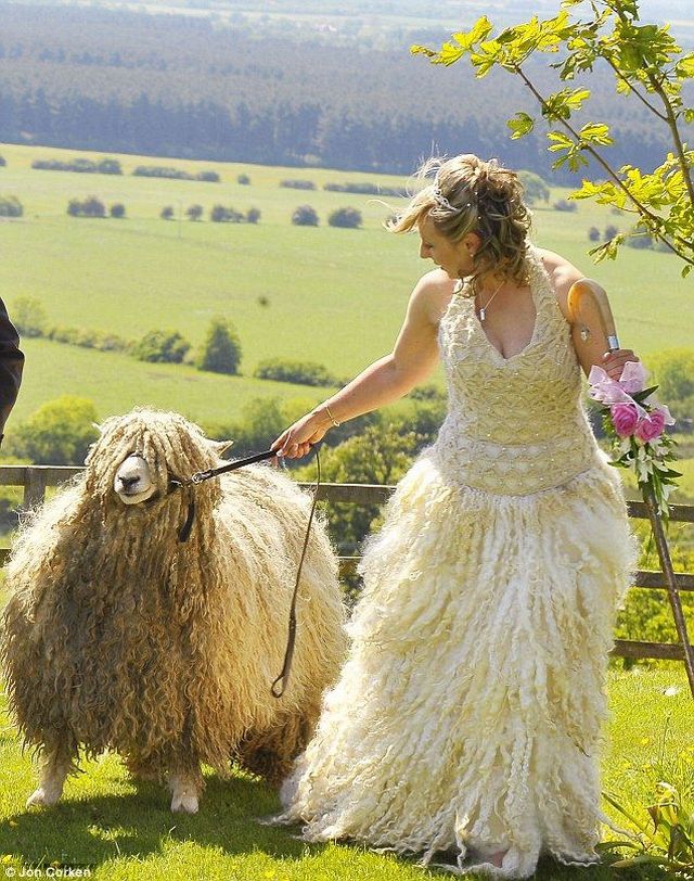 Daily picdump (132 pics)