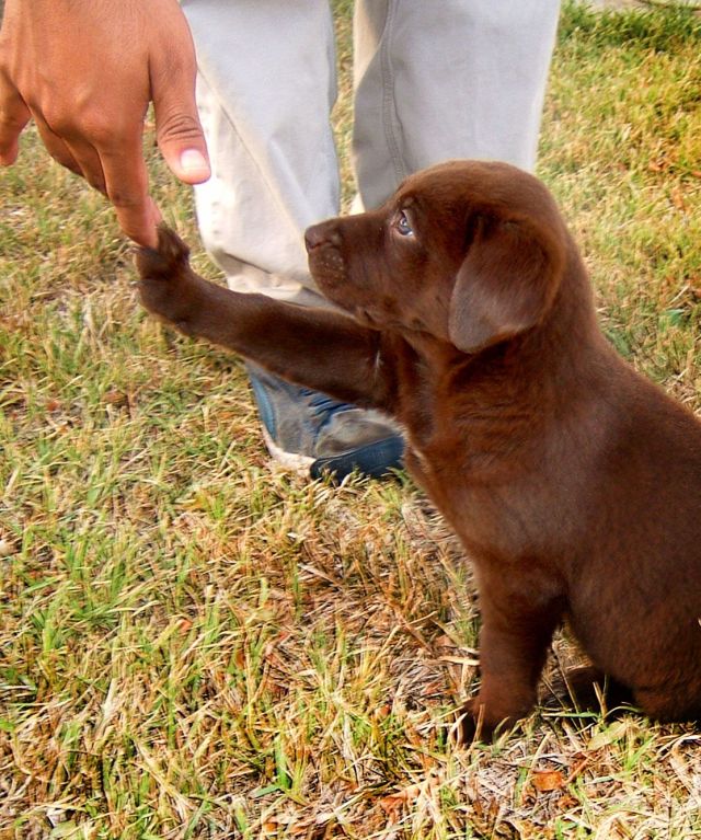 Daily picdump (132 pics)