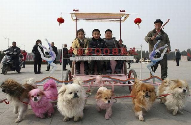 Daily picdump (132 pics)