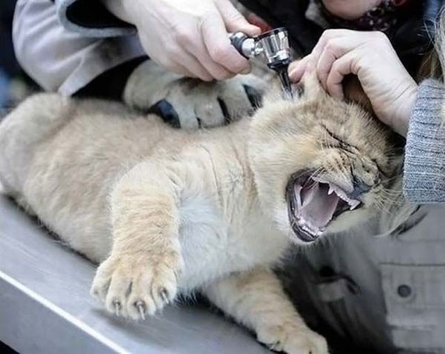 Daily picdump (132 pics)