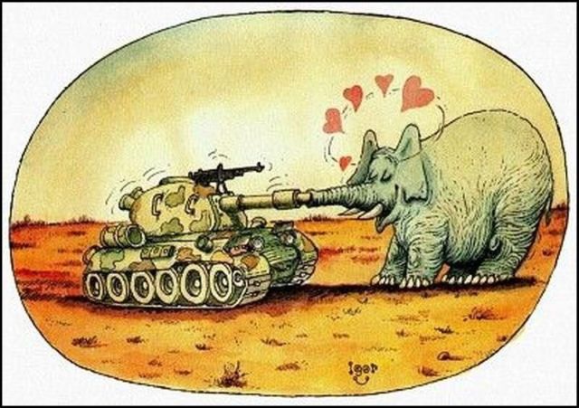 Daily picdump (132 pics)