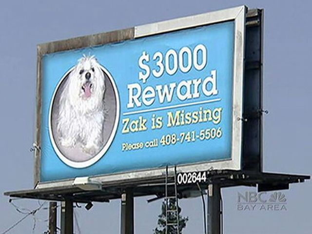 Daily picdump (132 pics)