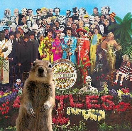 Be careful, the Crasher Squirrel is everywhere!! (29 pics)