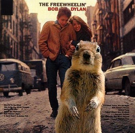 Be careful, the Crasher Squirrel is everywhere!! (29 pics)