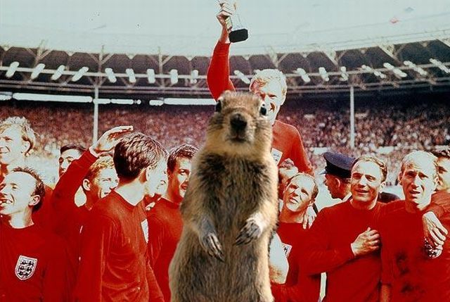 Be careful, the Crasher Squirrel is everywhere!! (29 pics)