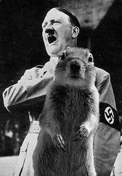 Be careful, the Crasher Squirrel is everywhere!! (29 pics)