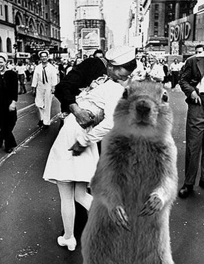 Be careful, the Crasher Squirrel is everywhere!! (29 pics)