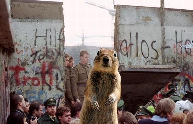Be careful, the Crasher Squirrel is everywhere!! (29 pics)