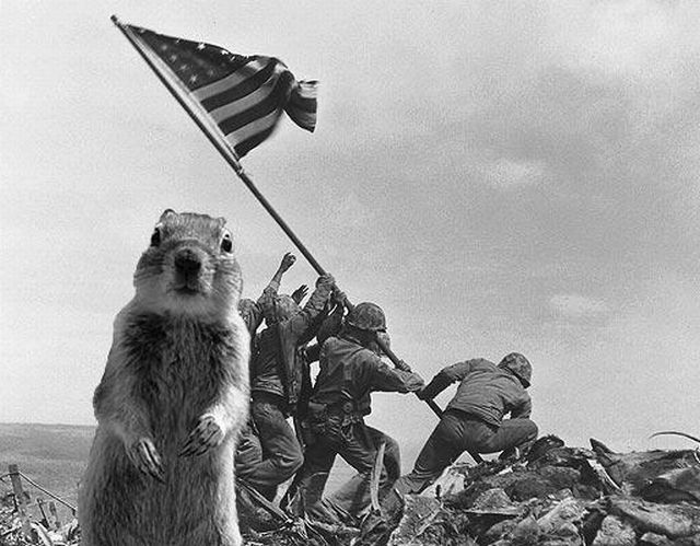 Be careful, the Crasher Squirrel is everywhere!! (29 pics)