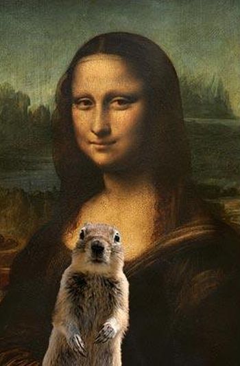 Be careful, the Crasher Squirrel is everywhere!! (29 pics)