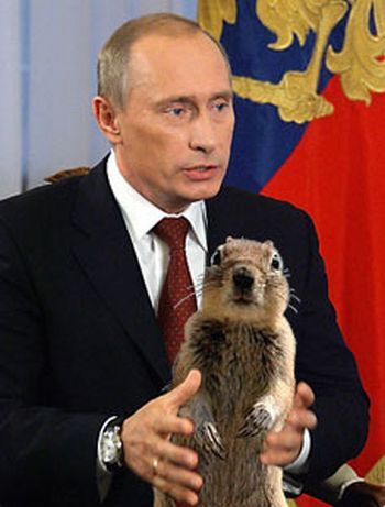 Be careful, the Crasher Squirrel is everywhere!! (29 pics)