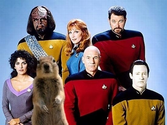 Be careful, the Crasher Squirrel is everywhere!! (29 pics)