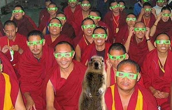 Be careful, the Crasher Squirrel is everywhere!! (29 pics)