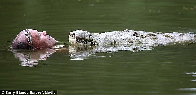 Incredible friendship between a crocodile and a human (4 pics)