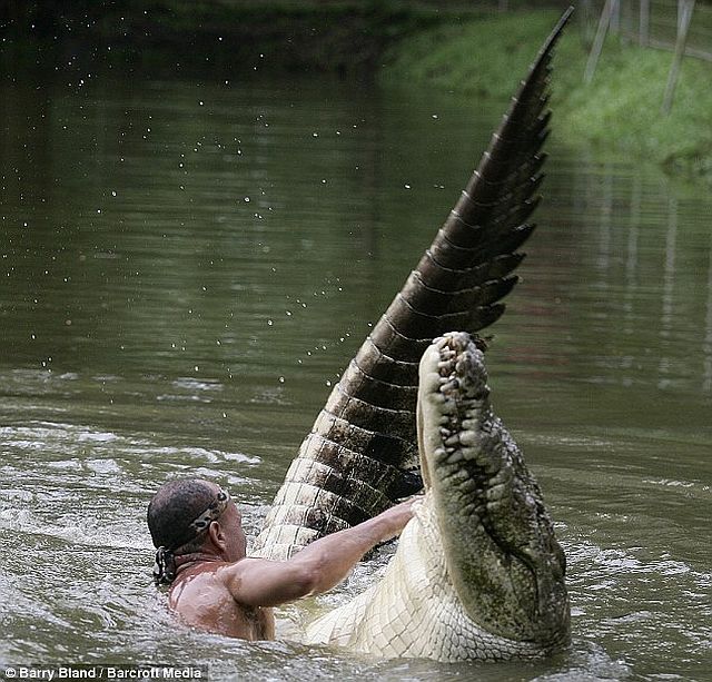 crocodile_man_02.jpg