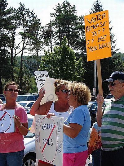 Teabaggers with signs (32 pics)