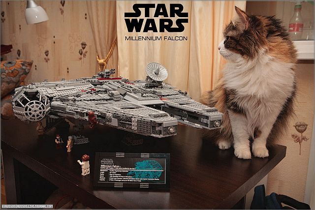 Lego Millennium Falcon (35 pics)