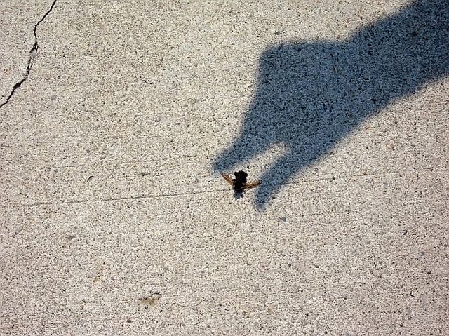 Look, I got it! (86 pics)