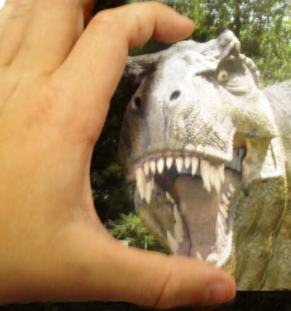 Look, I got it! (86 pics)