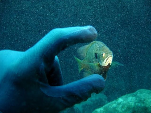 Look, I got it! (86 pics)