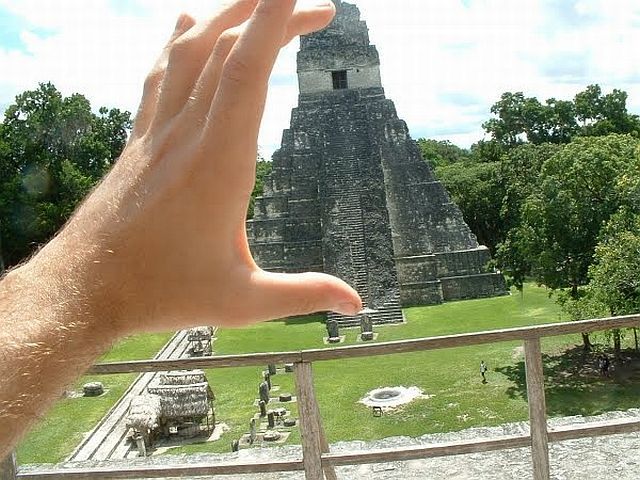 Look, I got it! (86 pics)