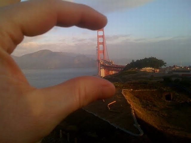 Look, I got it! (86 pics)